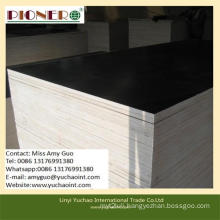 Two Molding New Core Phenomic Film Faced Plywood for Construction